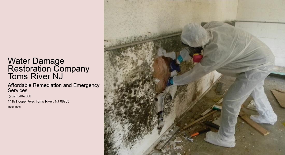 Water Damage Restoration Company Toms River NJ