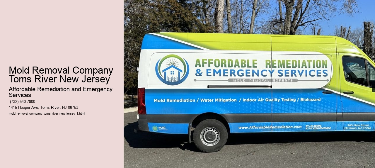 Mold Removal Company Toms River New Jersey