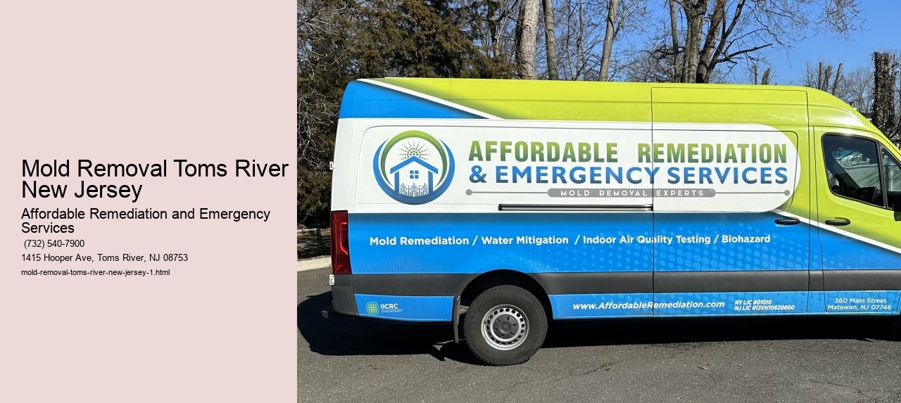 Mold Removal Toms River New Jersey