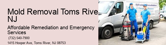 Mold Removal Toms River NJ