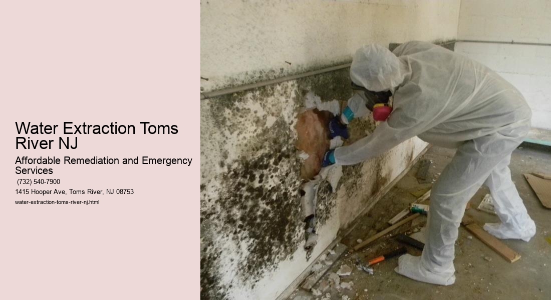 Water Extraction Toms River NJ